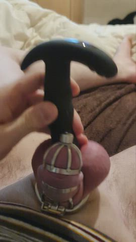Chastity Cumshot Ejaculation