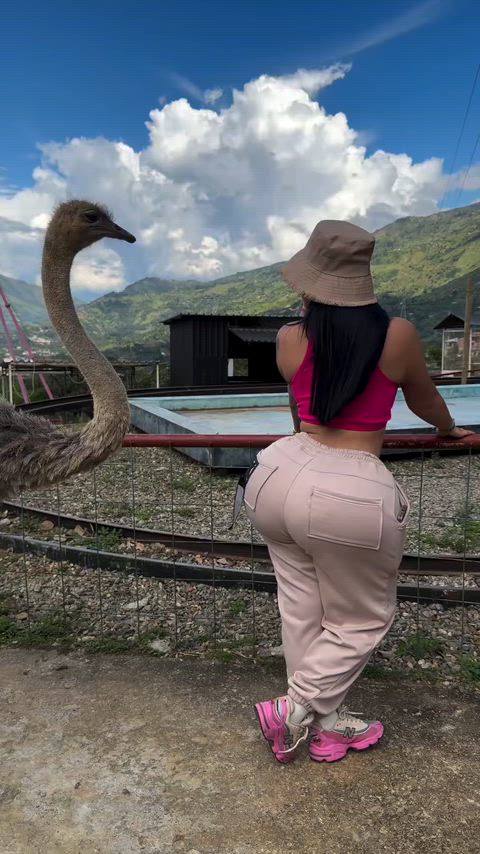 Big Ass Fake Ass Funny