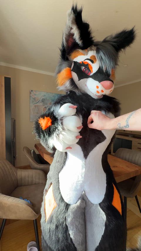 Amateur Big Tits Furries