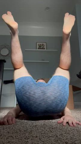 Ass Asshole Big Ass