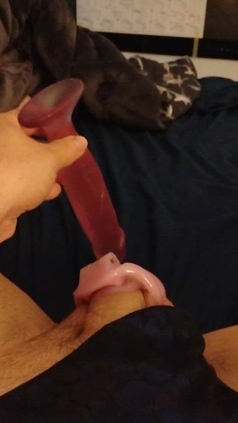 Ballbusting CBT Chastity