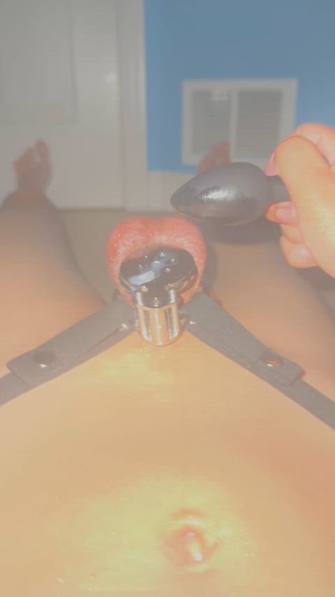 Chastity Chastity Belt Cumshot