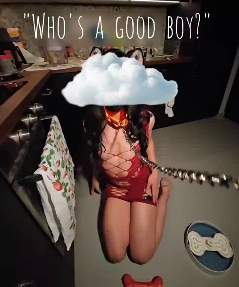 Ass Collar Crossdressing