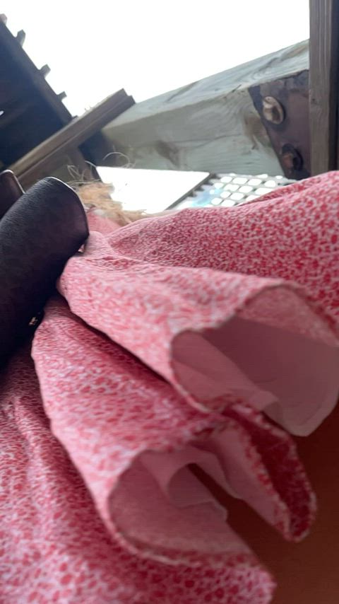 Hotwife Panties Upskirt