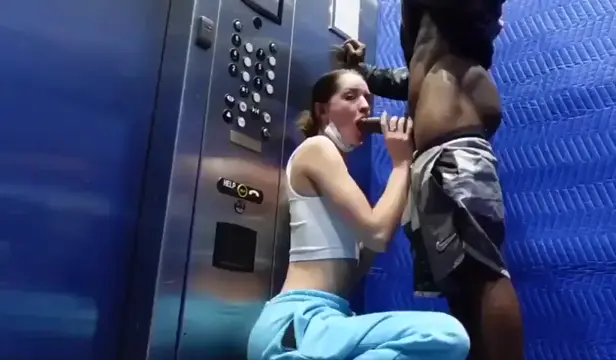 White slut blowing bbc in elevator