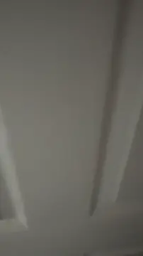 Fat Ass TikTok Brunette