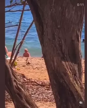 Britney Spears Fascinante — Jugando Clip Amateur